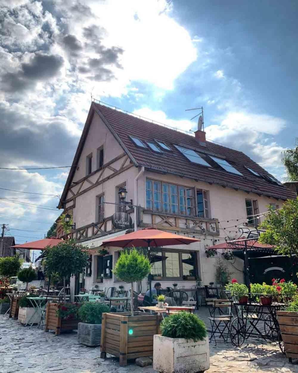 River Hostel Belgrad Exteriör bild